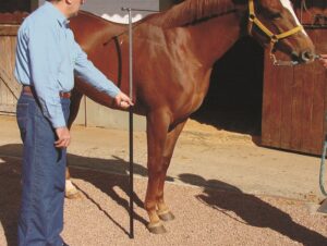 Bastón hipómetro para caballos, de 1,00 a 1,80mt. con nivel