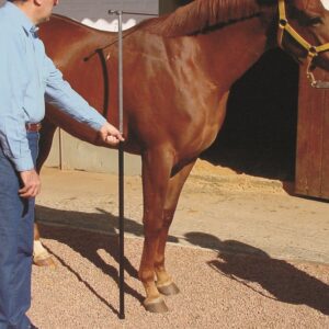Bastón hipómetro para caballos, de 1,00 a 1,80mt. con nivel