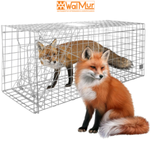 JAULA & TRAMPA PARA ZORROS Y ANIMALES PLEGABLE – TAMAÑO GRANDE