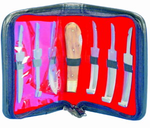 Cuchillos para cascos (renetas), en estuche. 6 piezas.