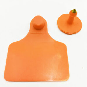 Caravana WALMUR modelo GRANDE, naranja