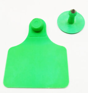 Caravana WALMUR modelo GRANDE, verde