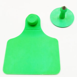 Caravana WALMUR modelo GRANDE, verde