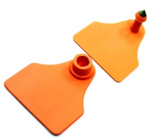 Caravana ROCKINK doble Mediana. SF+ DS, NARANJA