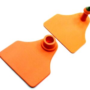 Caravana ROCKINK doble Mediana. SF+ DS, NARANJA