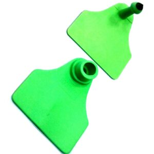 Caravana ROCKINK doble Mediana. SF+ DS, VERDE