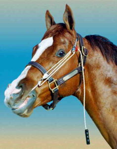 Entrenador p/caballos STABLEIZER. Mediano