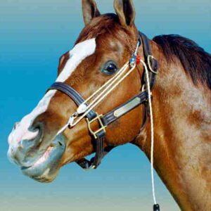 Entrenador p/caballos STABLEIZER. Mediano