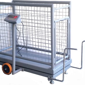 Balanza de carro electrónica. Capacidad. 500 Kg., 0,60×1,30×1,00mt.